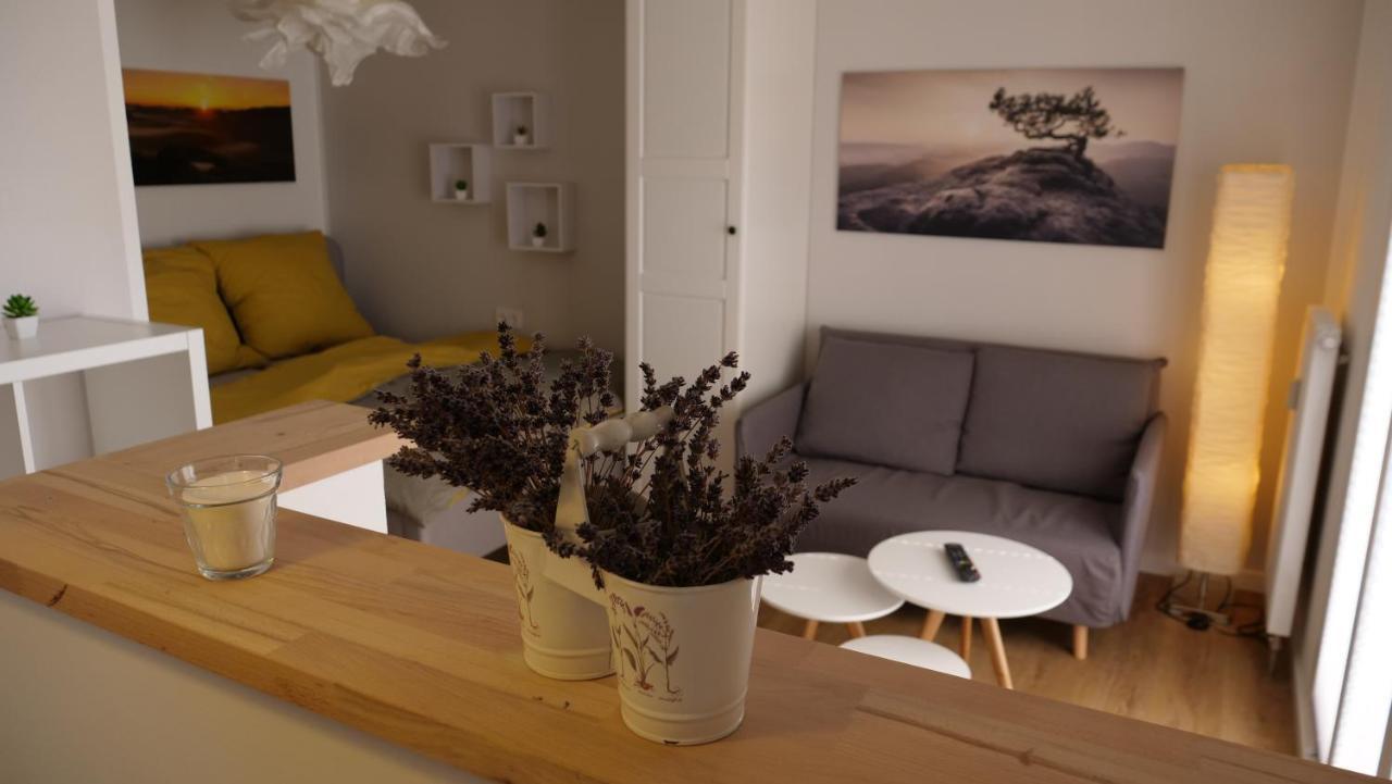 Ferienwohnung Gottleubapark Apartment Pirna Exterior photo